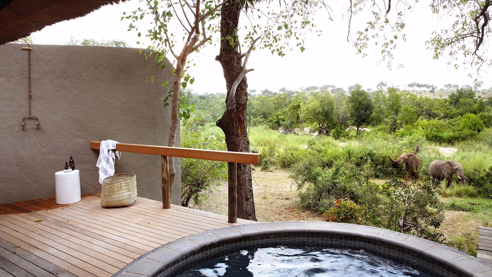 A private deck with an outdoor shower and plunge pool, looking out at two elephants browsing just metres away.