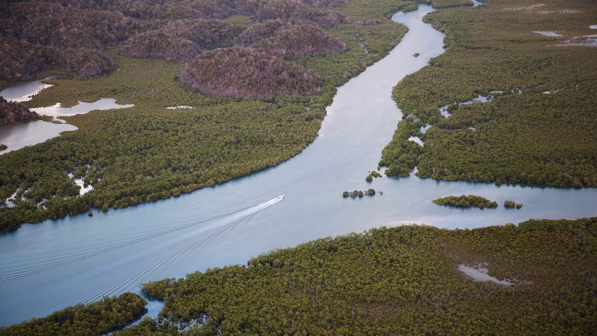 Boat driving down lush mangroves in the Anjajavy protected area, Madagascar.