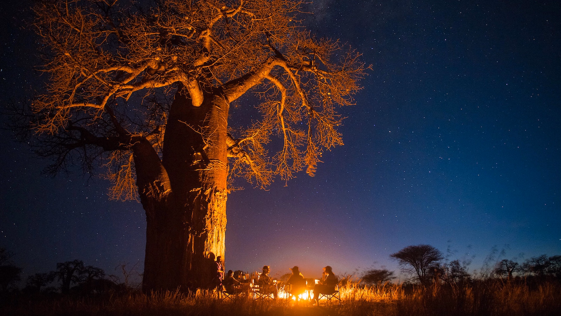 Guests gathered around a campfire at Olkeri Camp beneath a giant baobab tree lit up in orange against a starry night sky.
